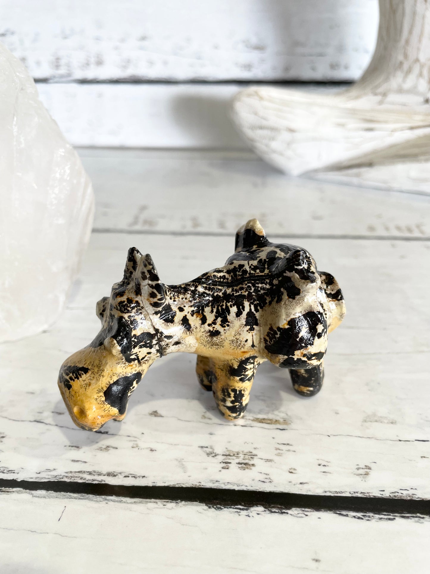 Picture Jasper Donkey ~ 2