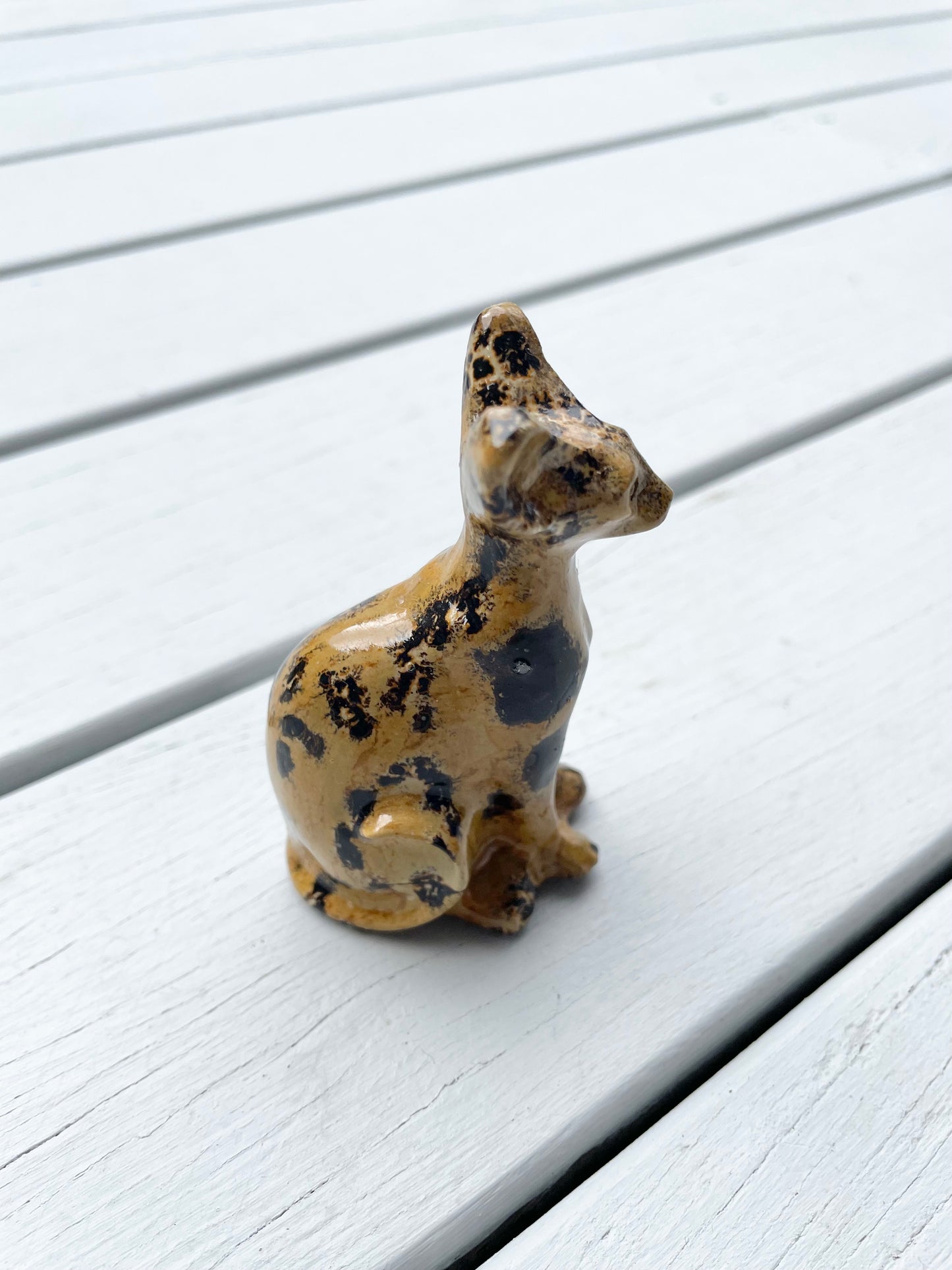 Picture Jasper Cat