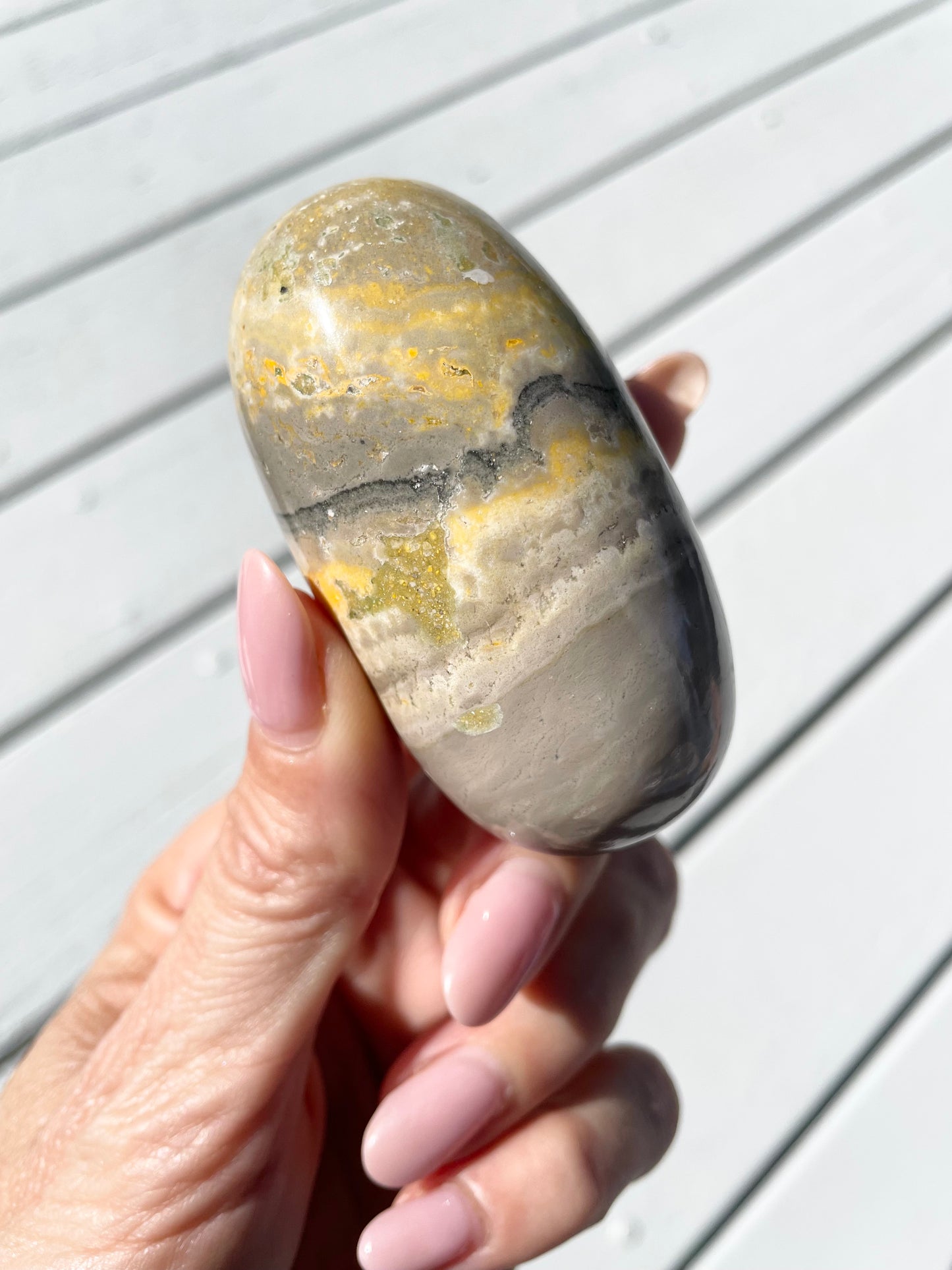 Bumble Bee Jasper Lingam