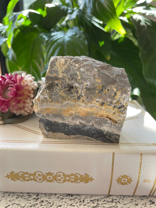 Raw Bumble Bee Jasper