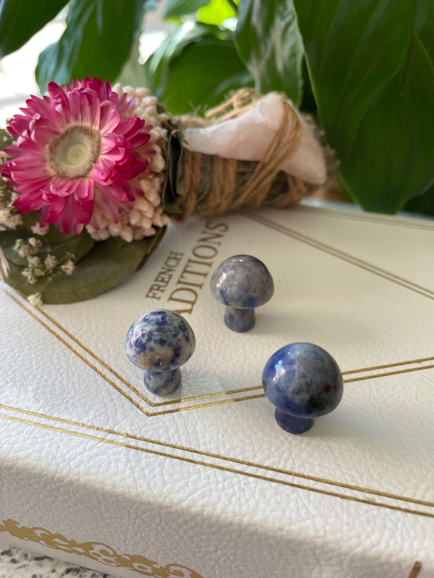 Intuitively chosen ~ Sodalite Mushroom