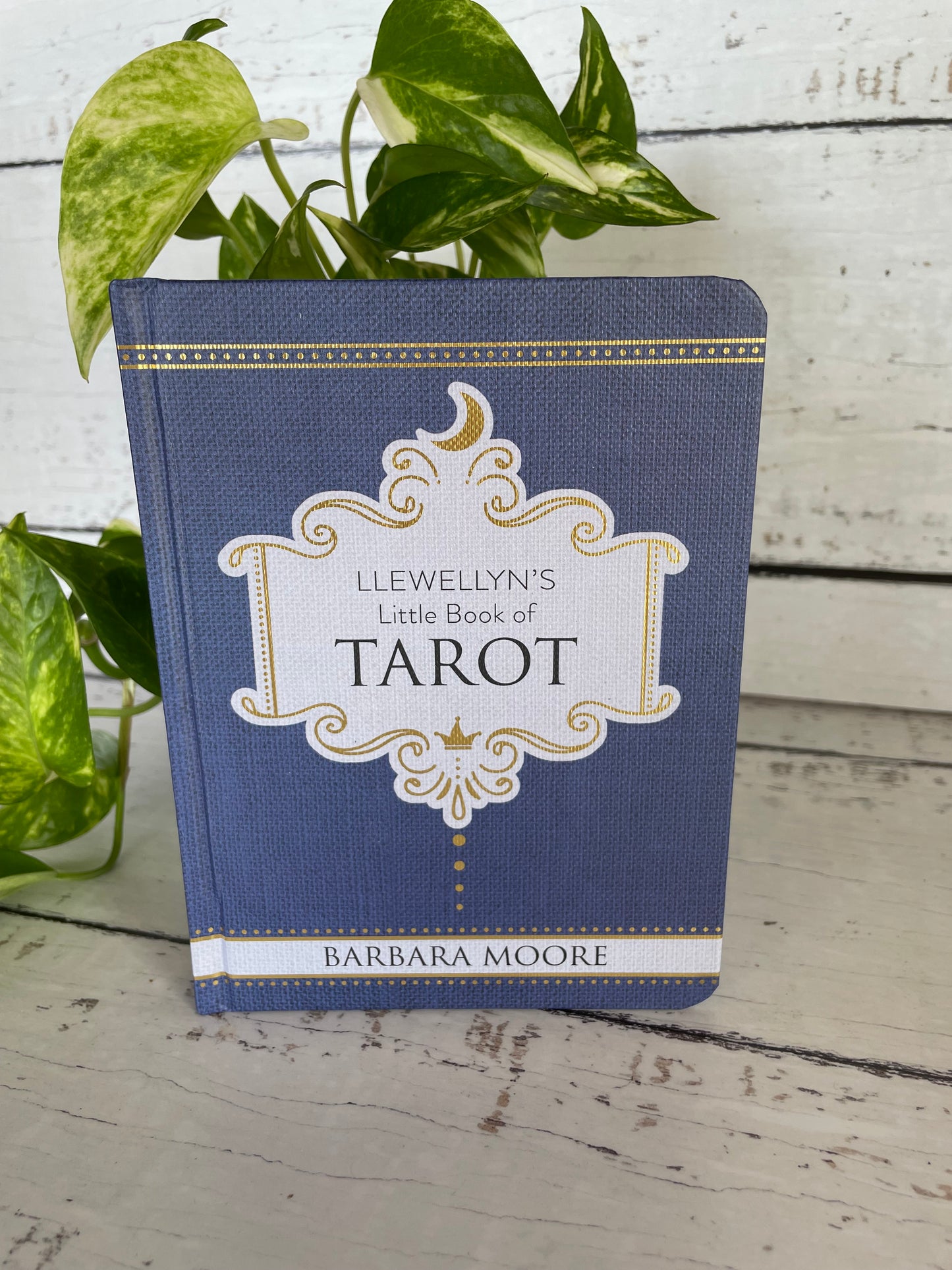 Llewellyn's Little Book of Tarot