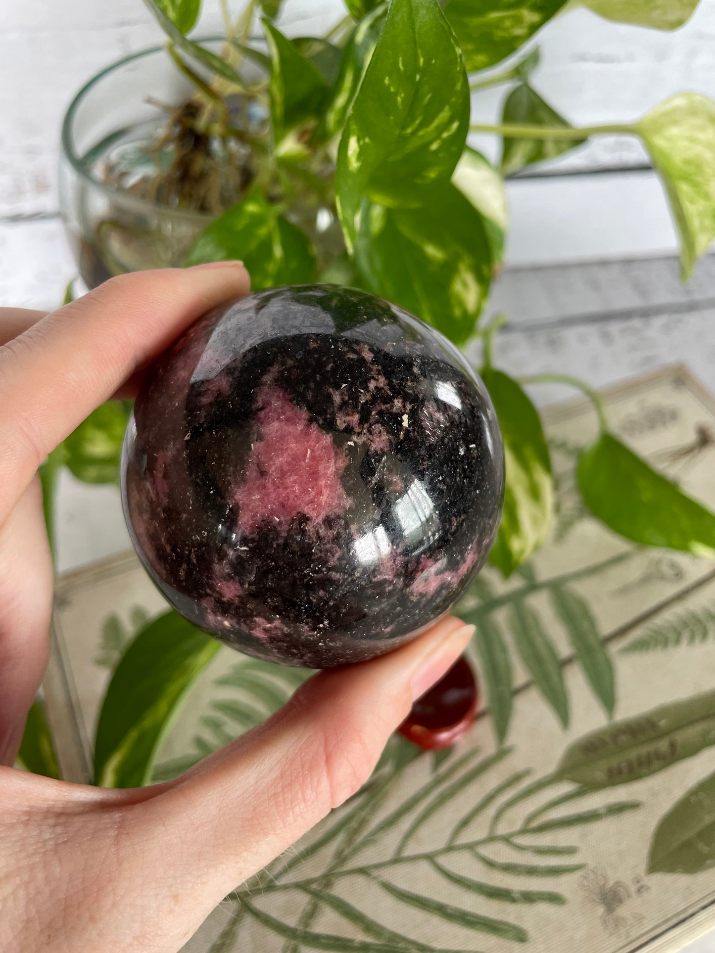 Rhodonite Sphere Includes Wooden Holder