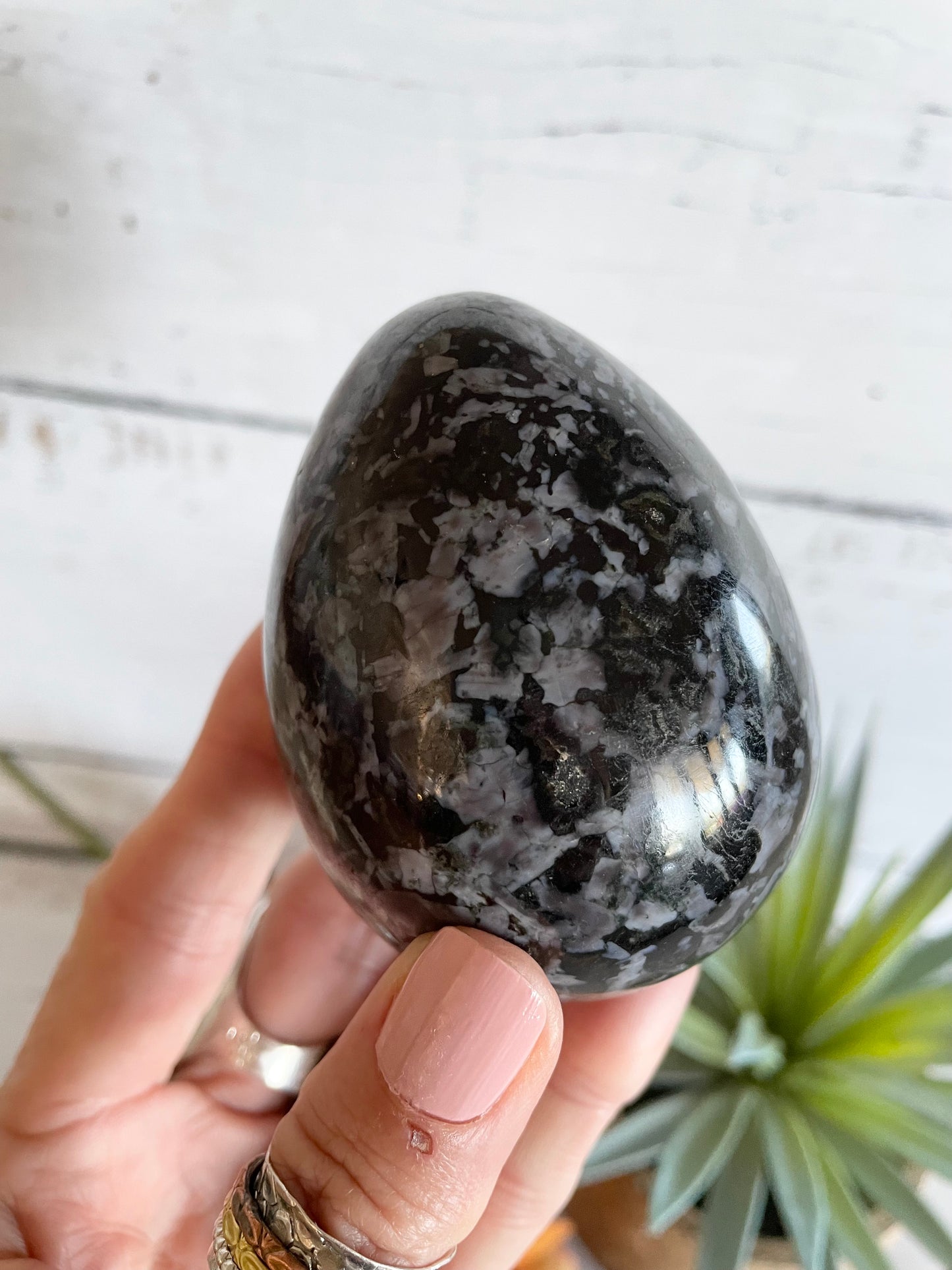 Indigo Gabbro Egg Includes Hematite Ring