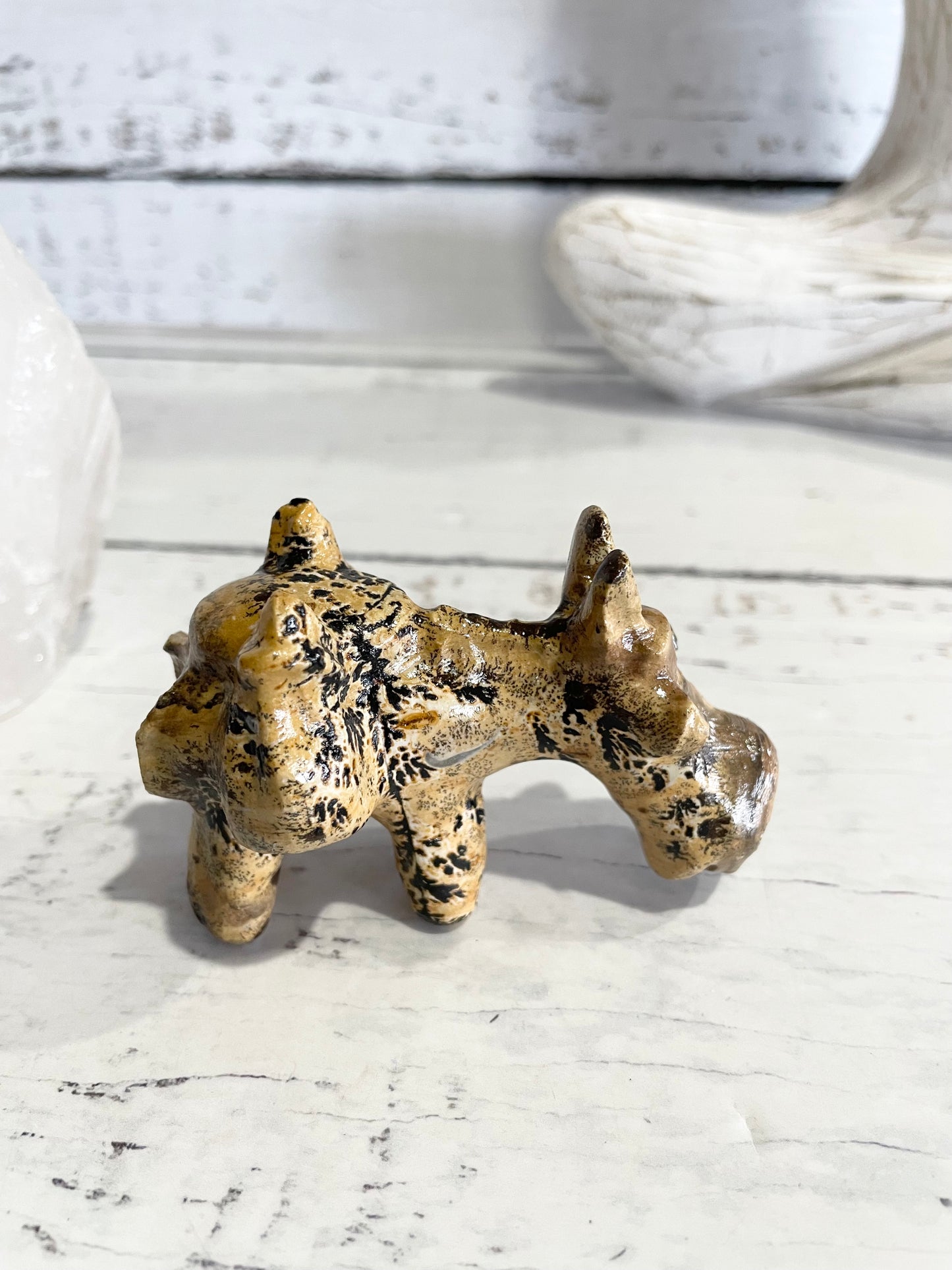 Picture Jasper Donkey ~ 10