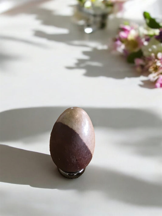 Shiva Narmada Egg includes Hematite Holder