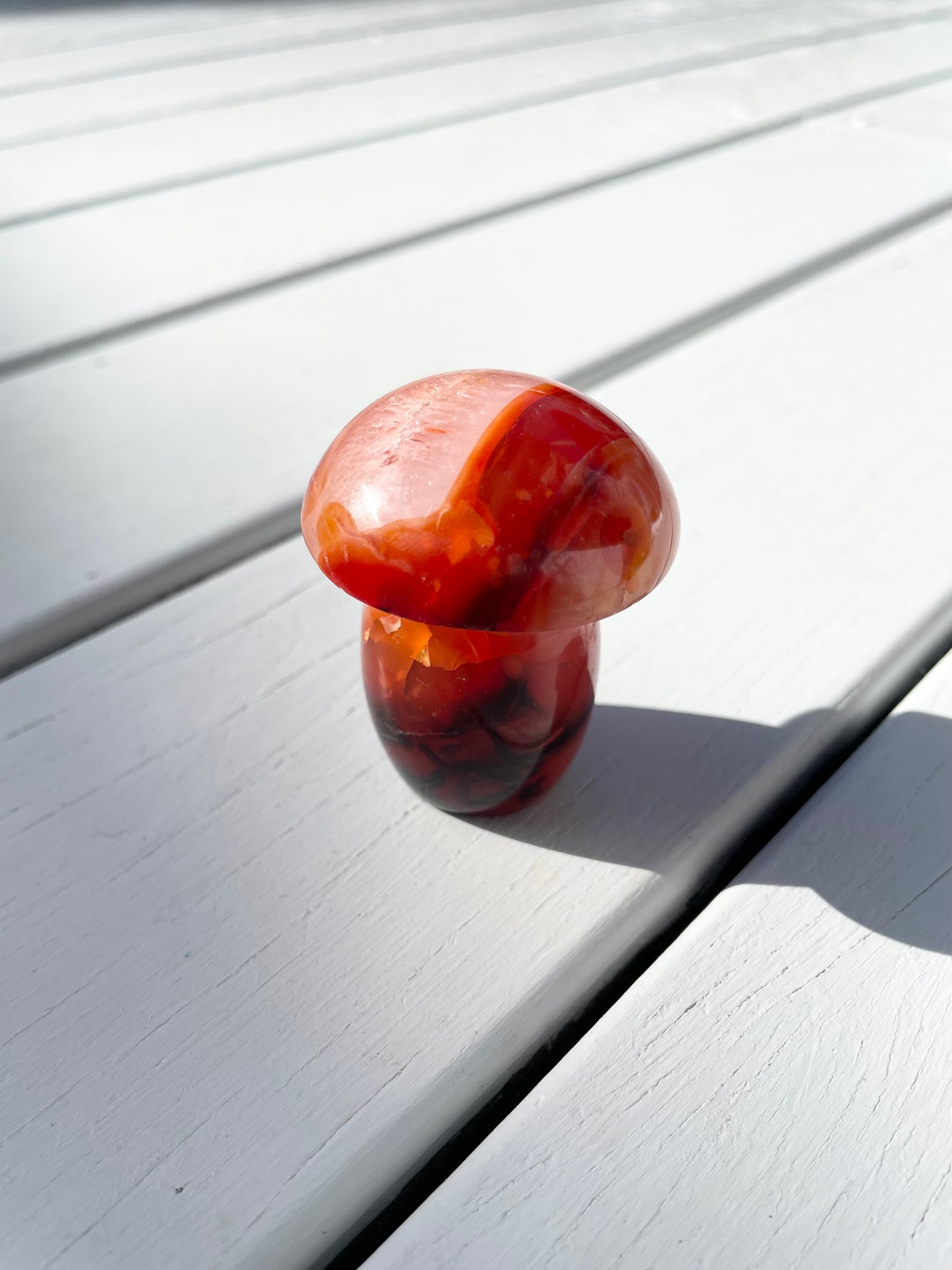 Carnelian Mushroom