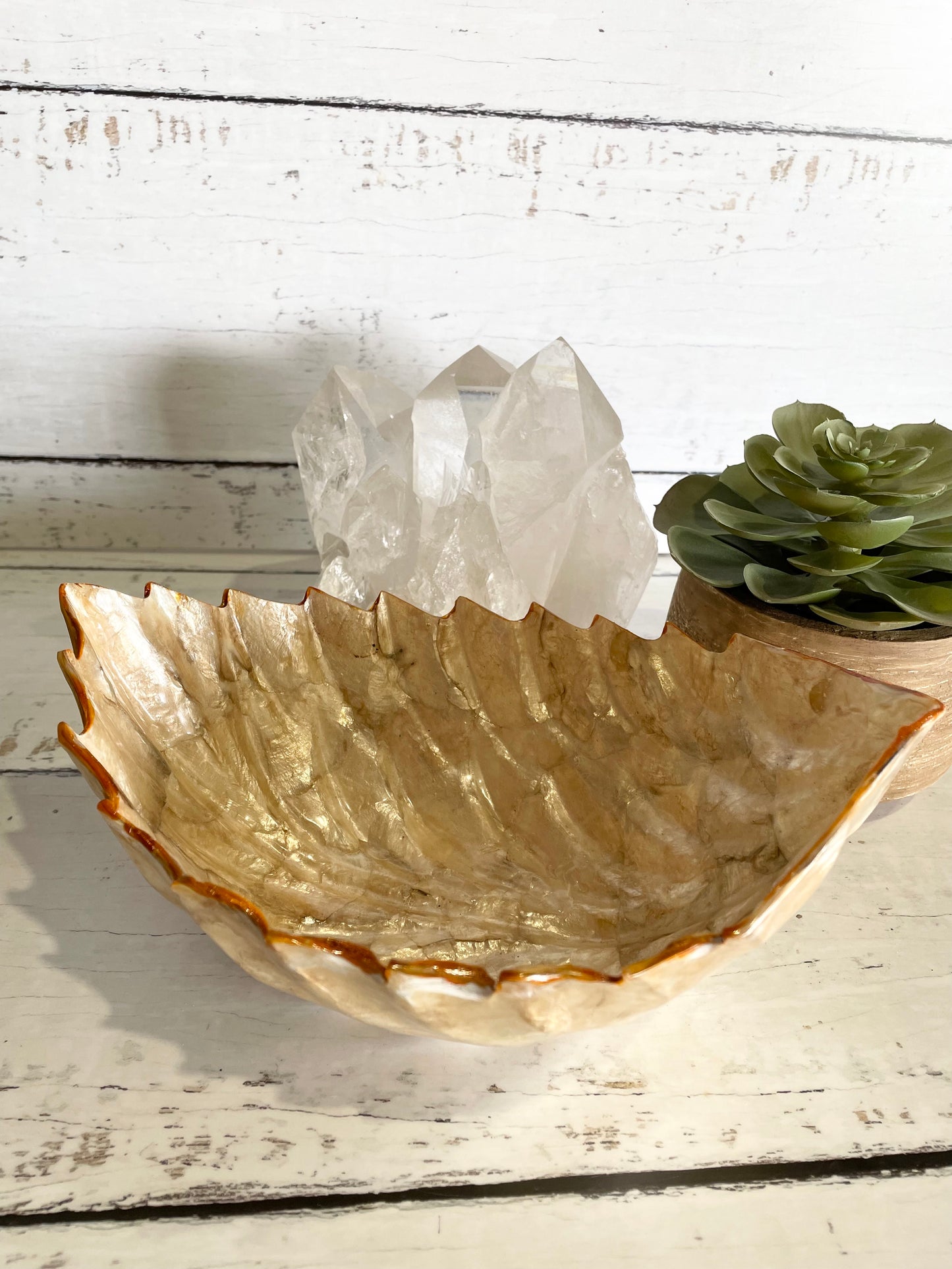 Abalone Shell Trinket Bowl