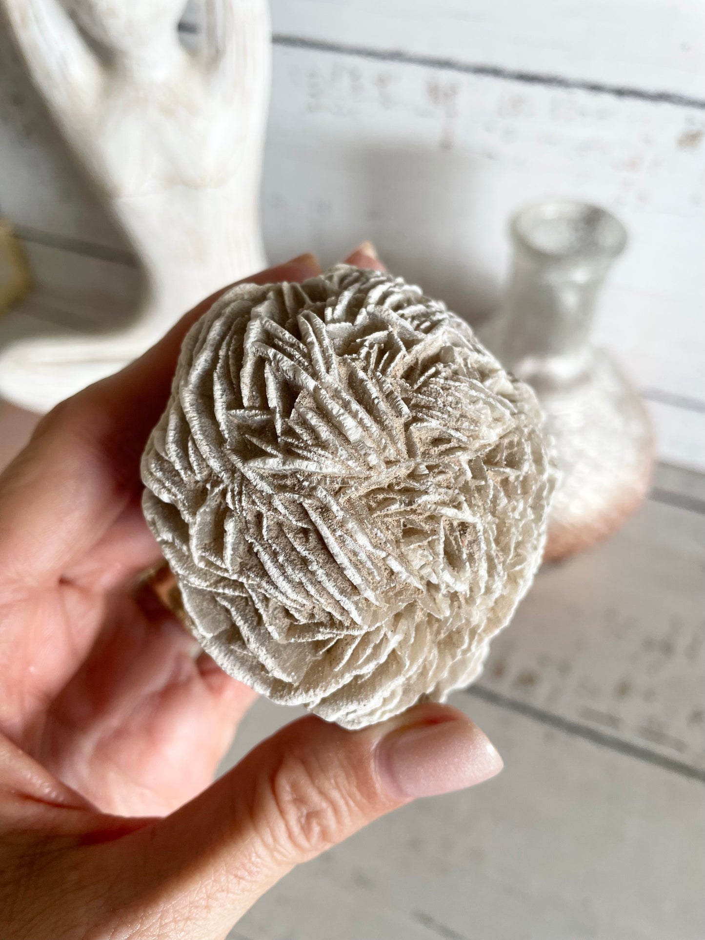 Desert Rose