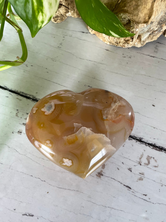 Flower Agate Heart