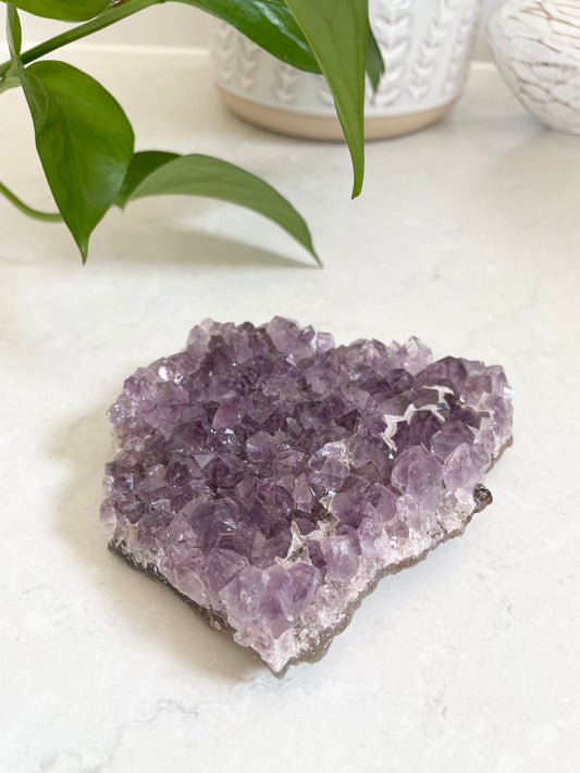 Amethyst Cluster