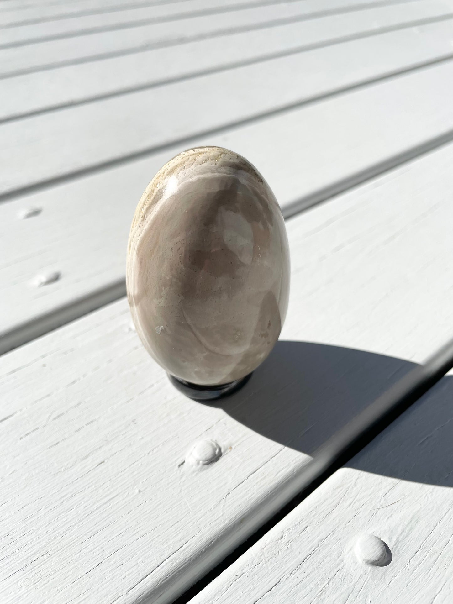 Bumble Bee Jasper Egg with holder