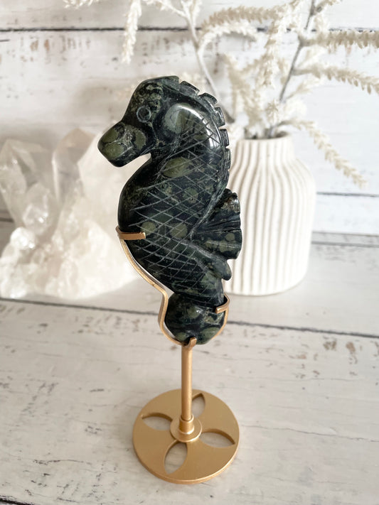 Seahorse ~ Kambaba Jasper