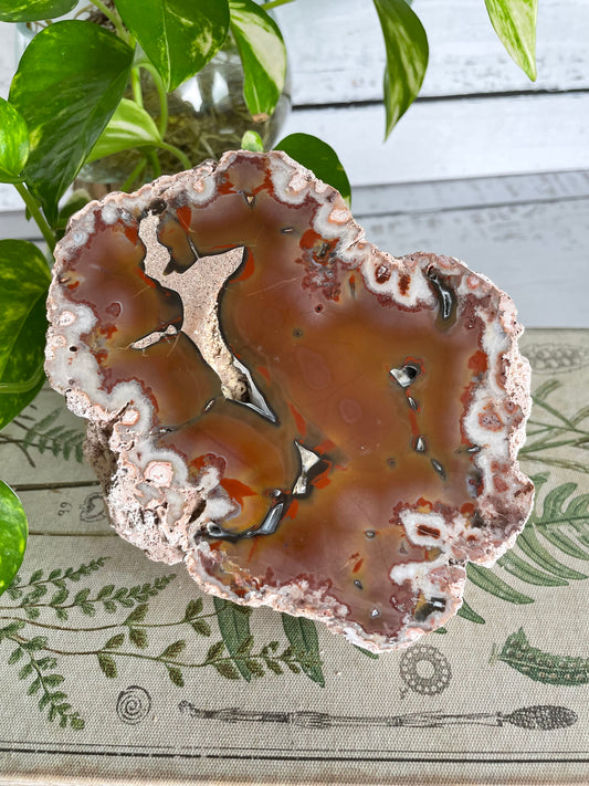 Agate Patagonia Thunder Egg