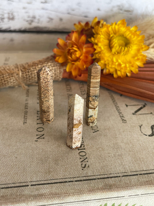 Intuitively Chosen ~ Picture Jasper Mini Generator