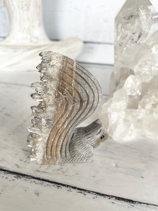 Quartz Squirrel 11
