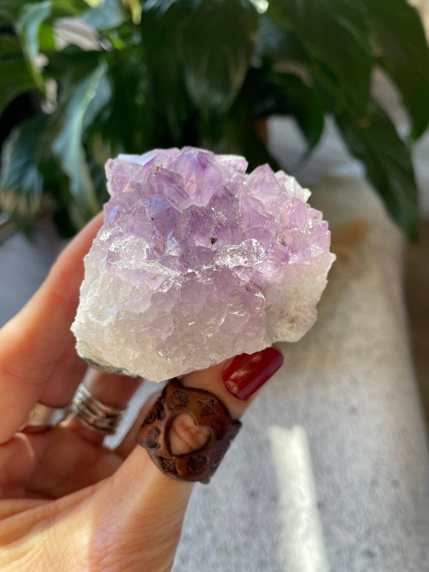 Amethyst Cluster