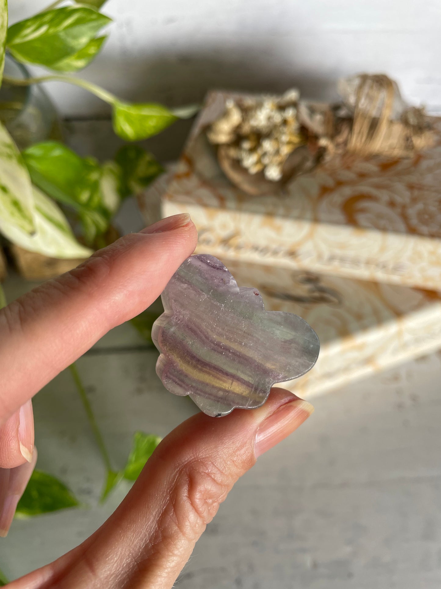 Butterfly ~ Rainbow Fluorite