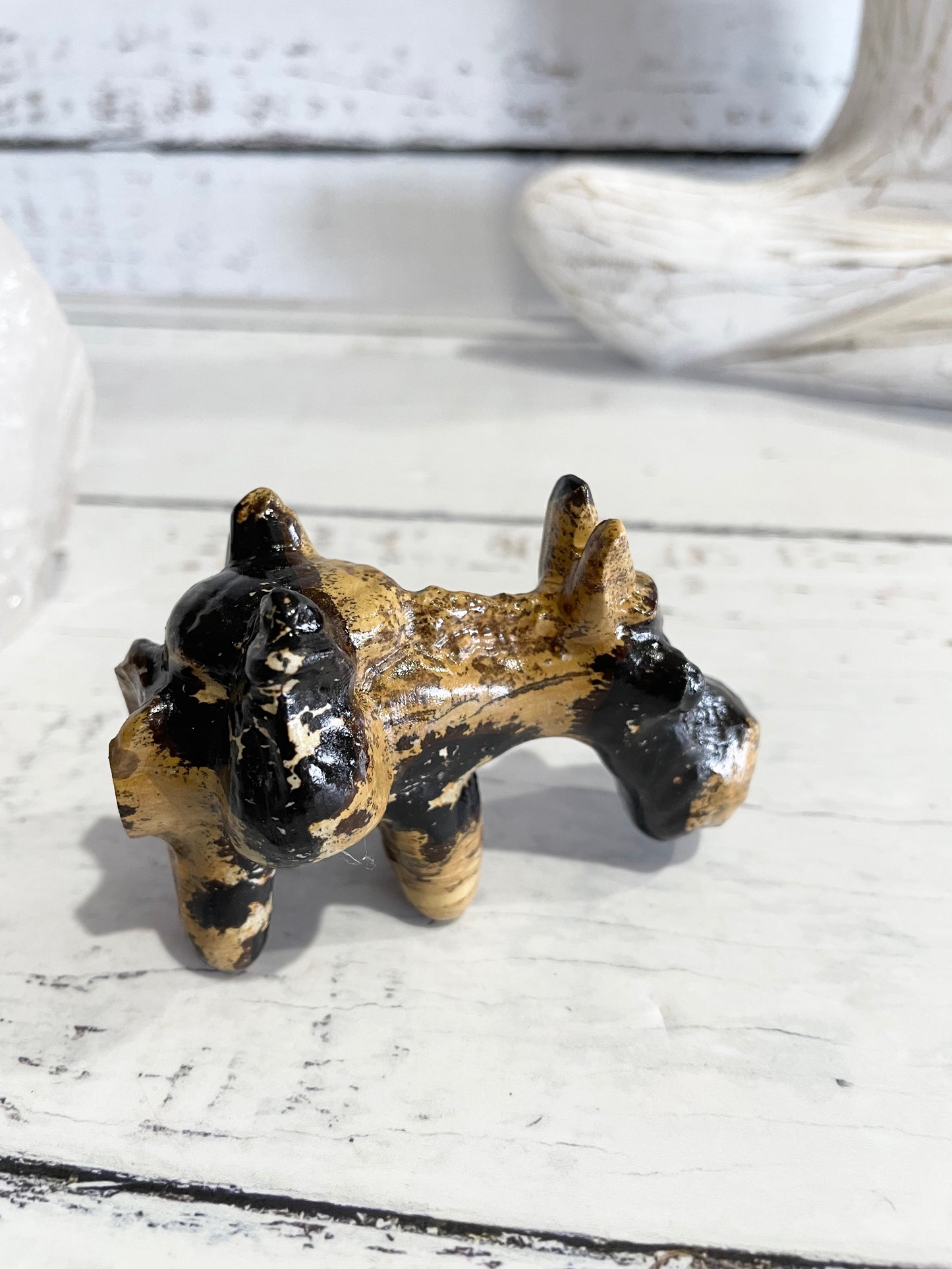Picture Jasper Donkey ~ 8