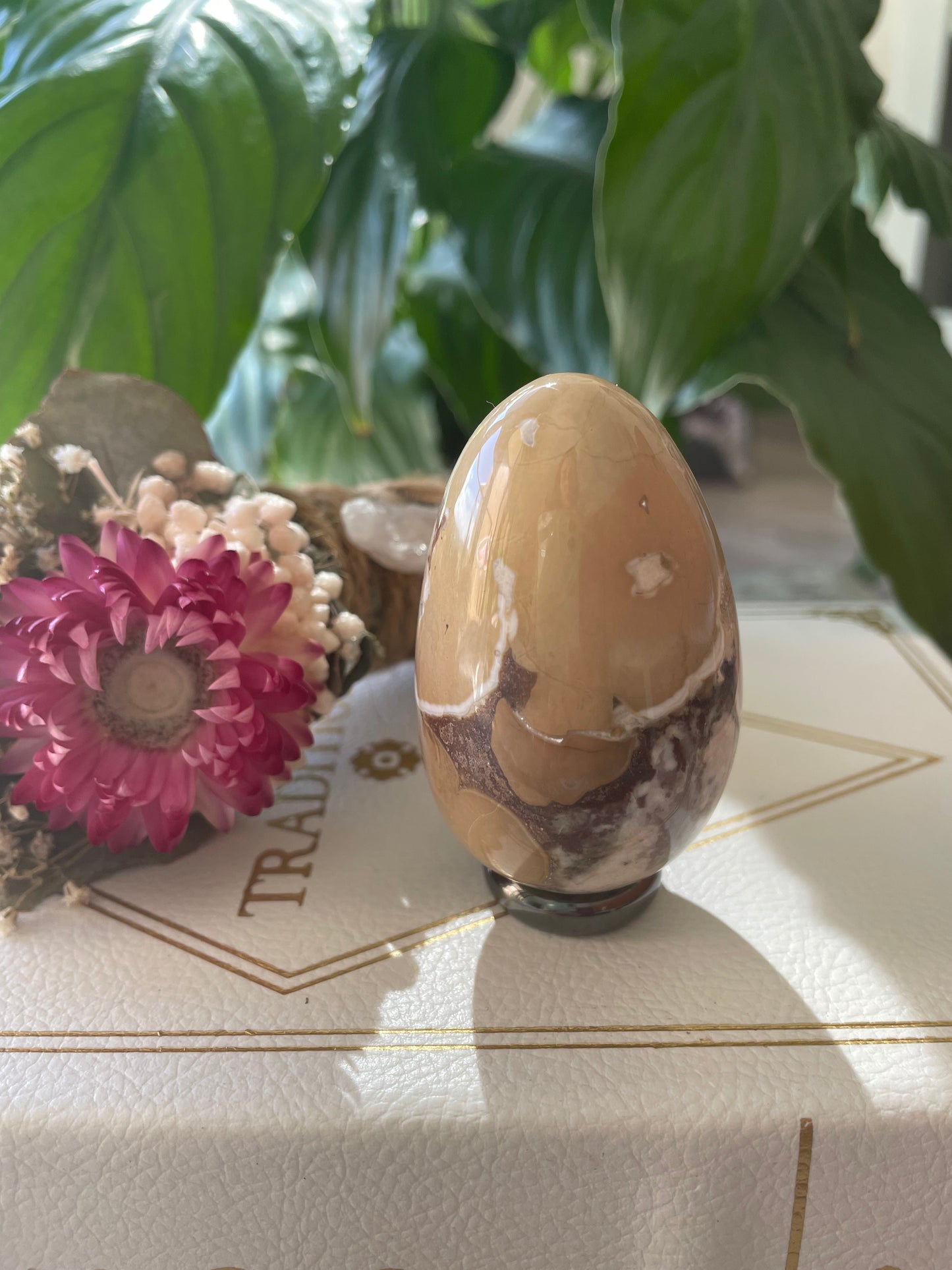 Spotted Agate Egg Includes Hematite Ring