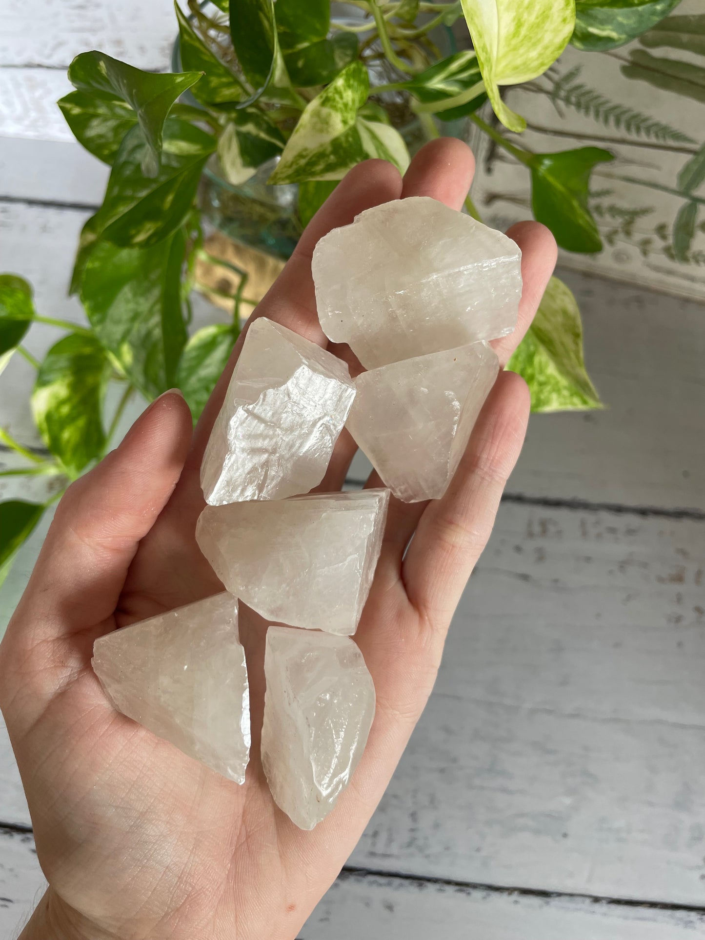 INTUITIVELY CHOSEN ~ White Calcite