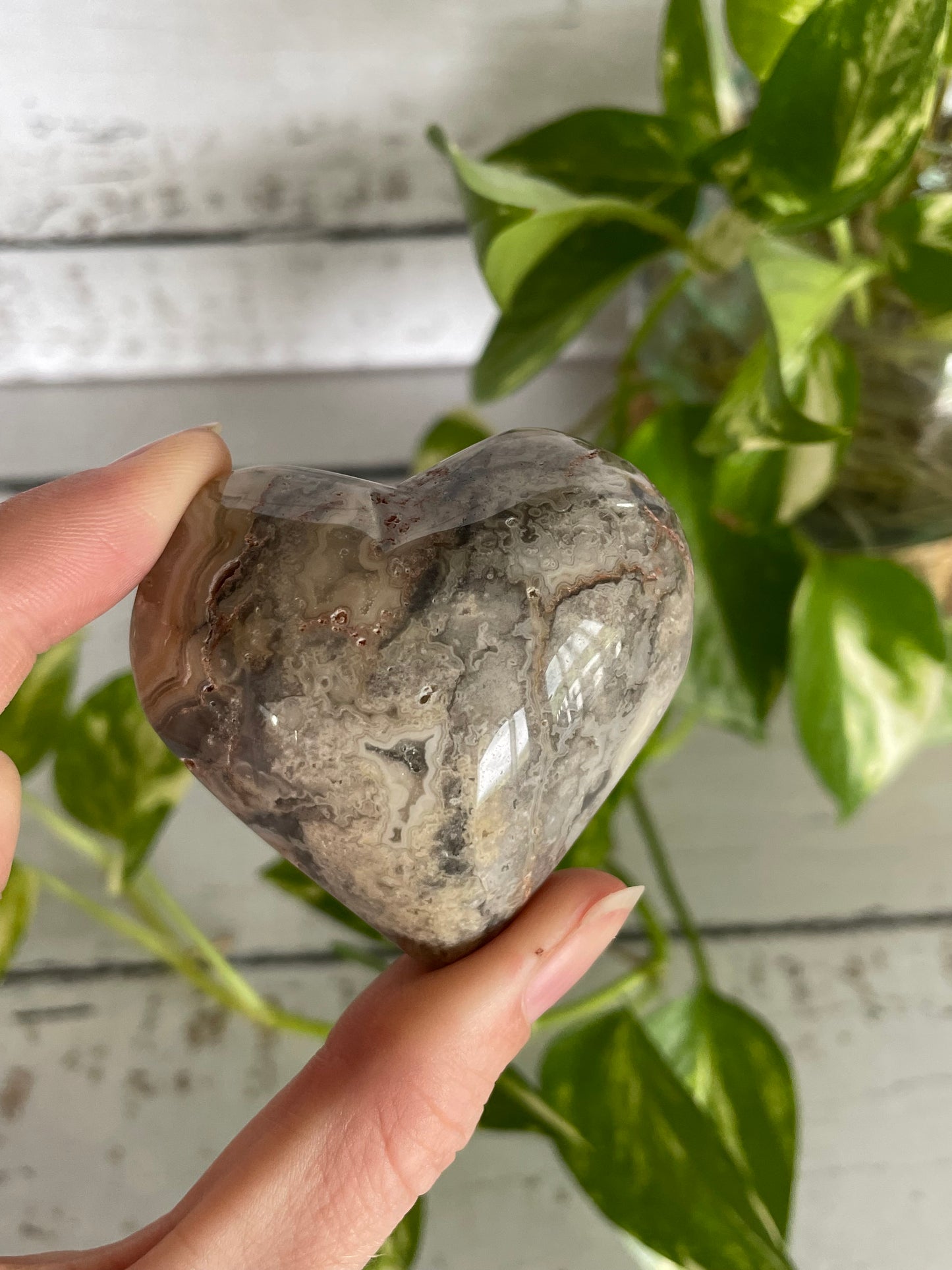 Crazy Lace Agate Heart