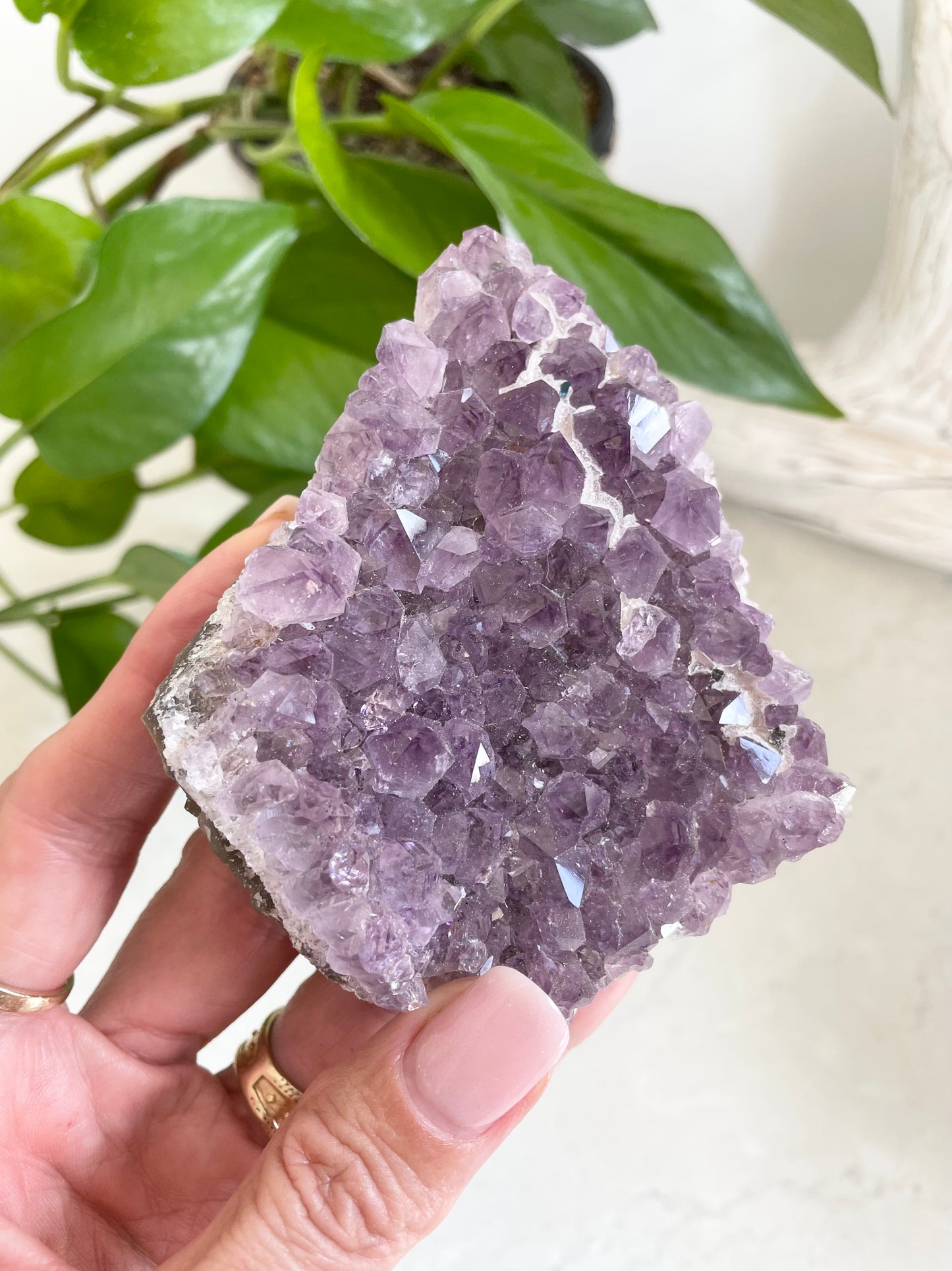 Amethyst Cluster