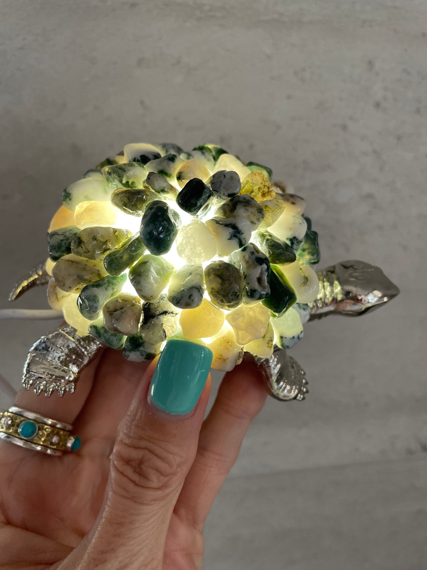 Tortoise Led Lamp ~ Tree Agate