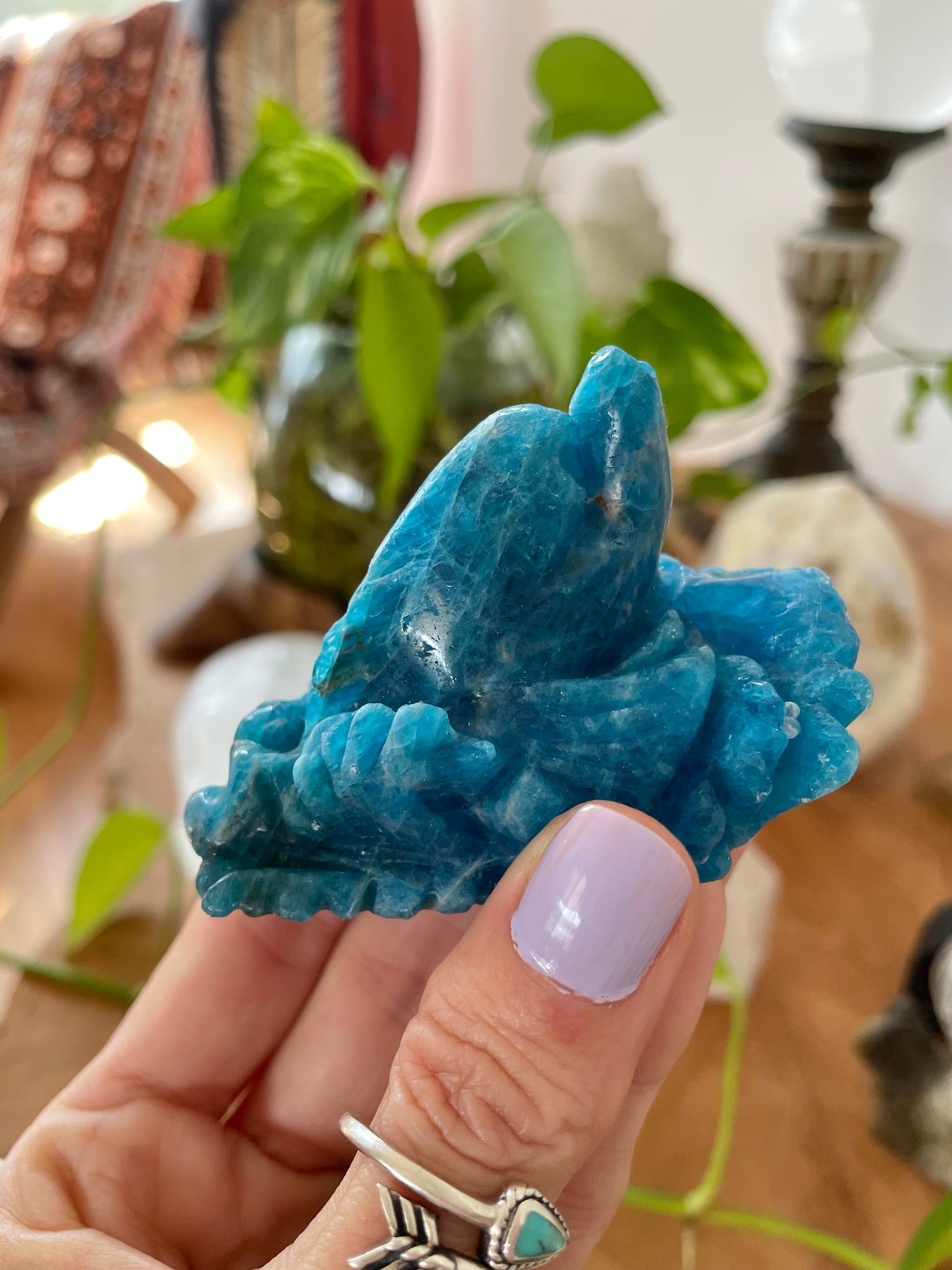 Apatite Dolphin