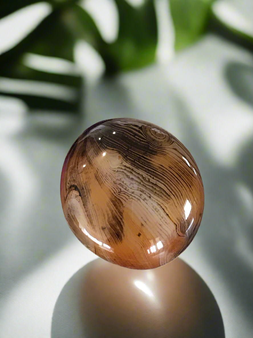 Freeform Madagascan Banded Agate ~ Transformation