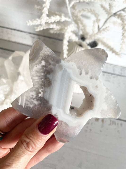 Natural Agate ~ Sea Star