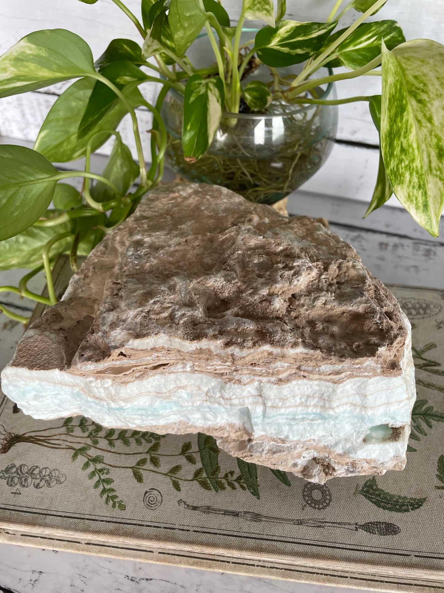 Raw Caribbean Calcite ~ 2.8kgs