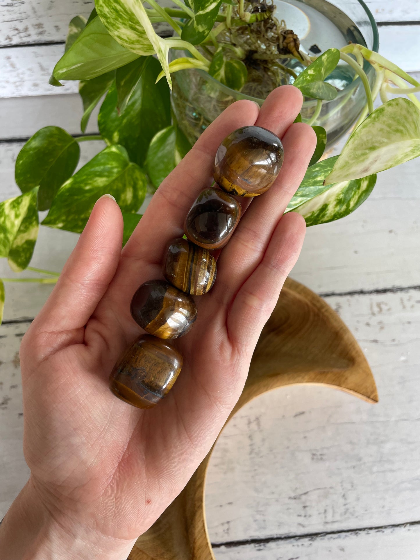 Tigers Eye Tumble Stones