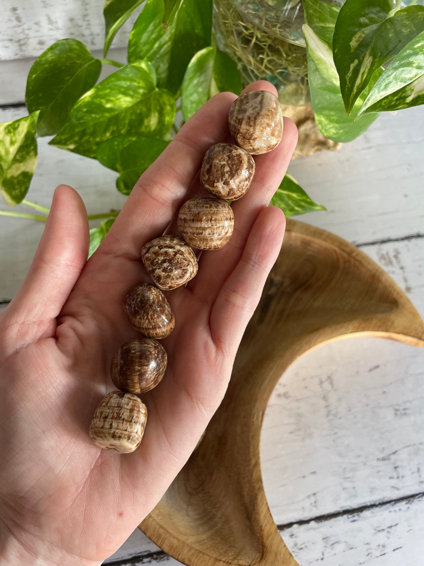 Aragonite Tumble Stones