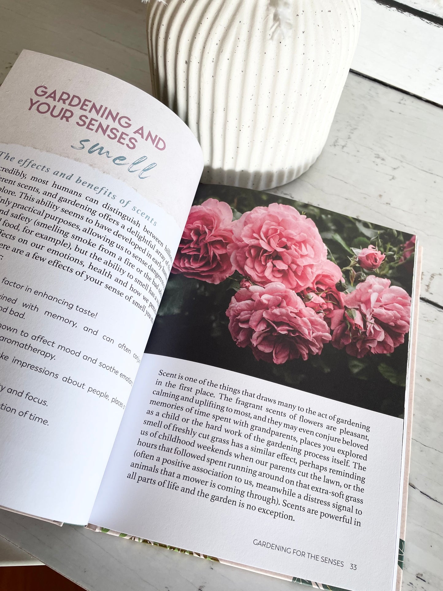 Gardening for Mind Body & Soul
