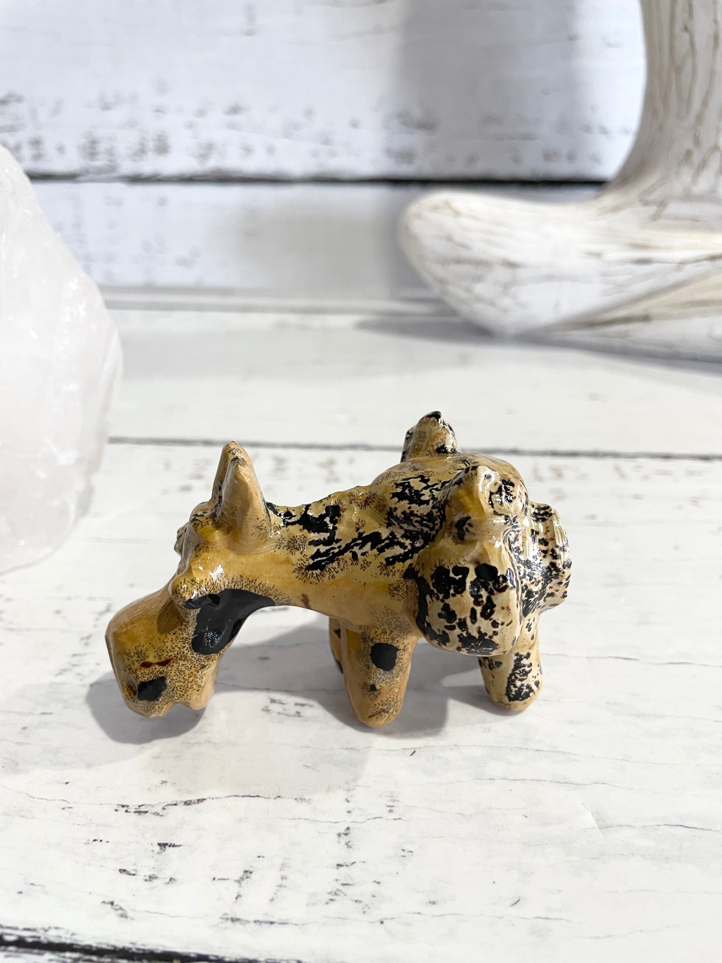 Picture Jasper Donkey ~ 6