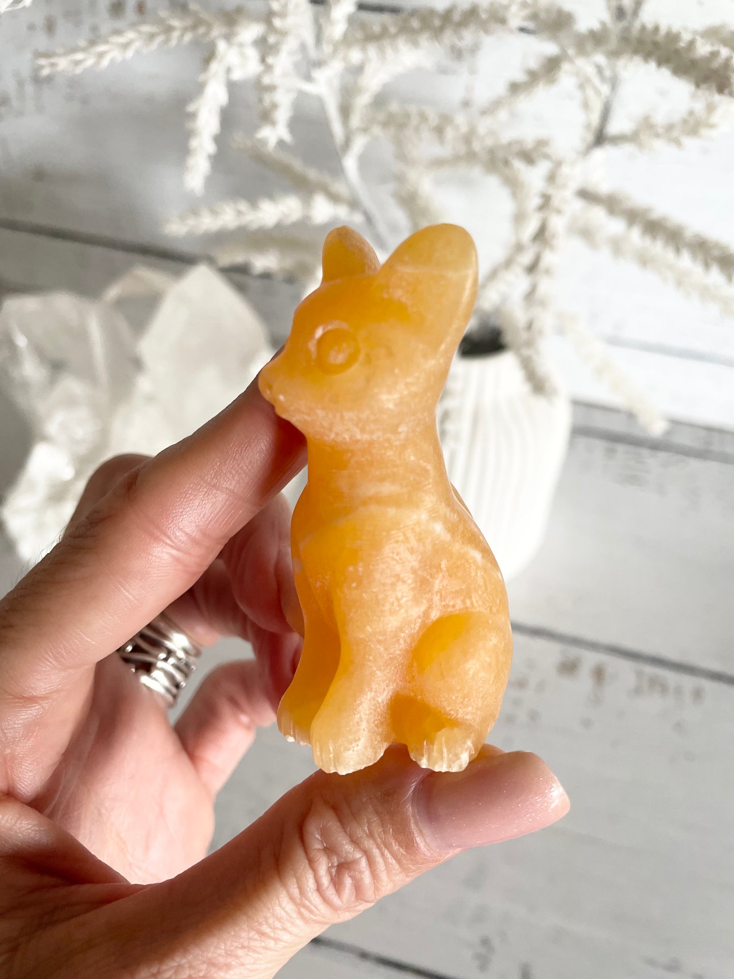 Cat - Orange Calcite