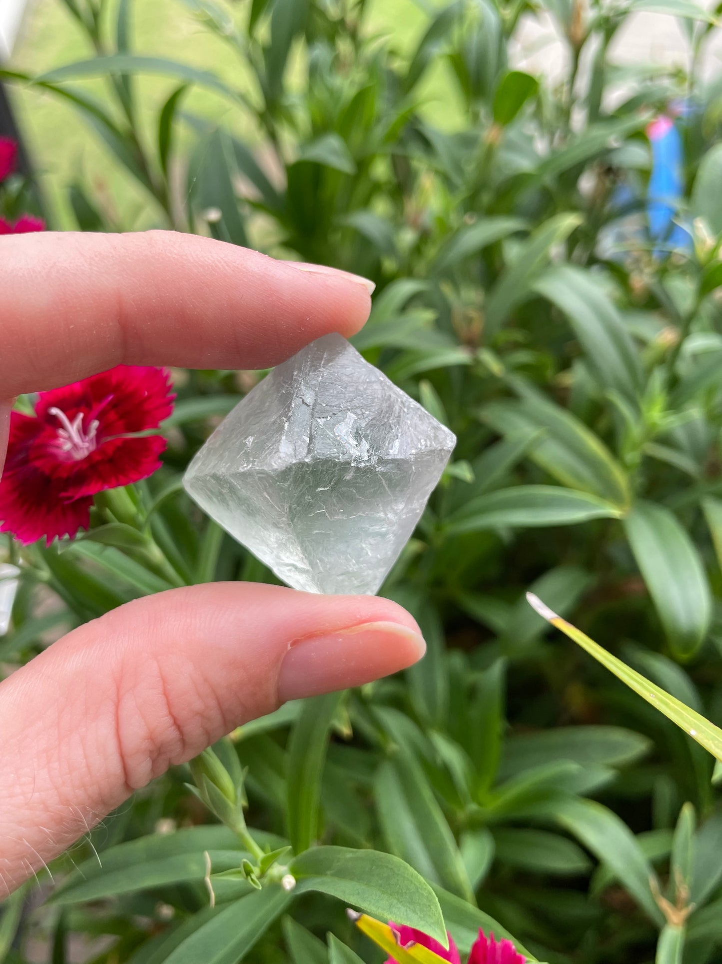 Green Fluorite Octahedron