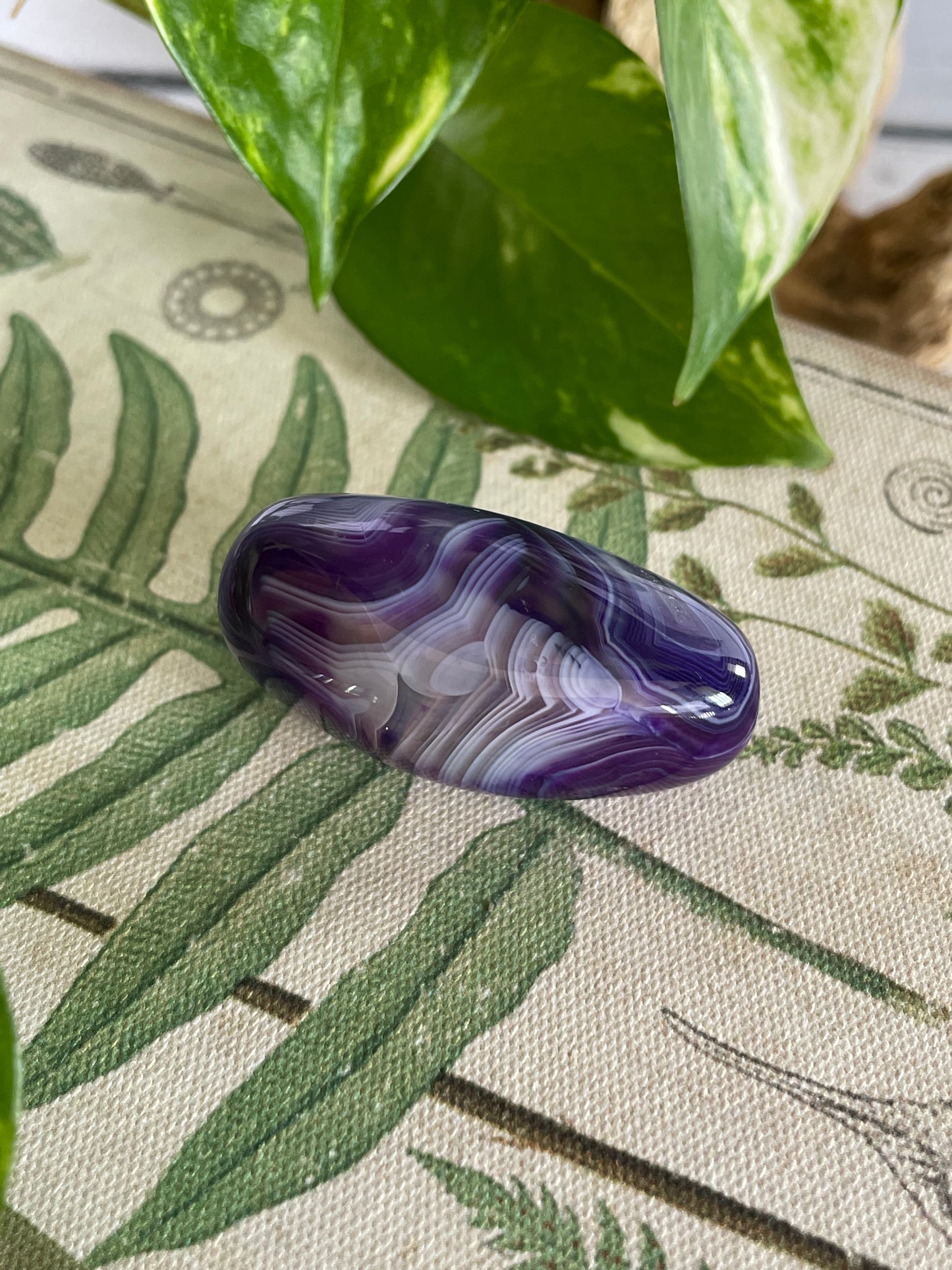 Freeform Purple Agate ~ Serene