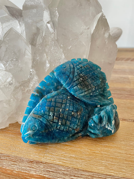 Apatite Fish