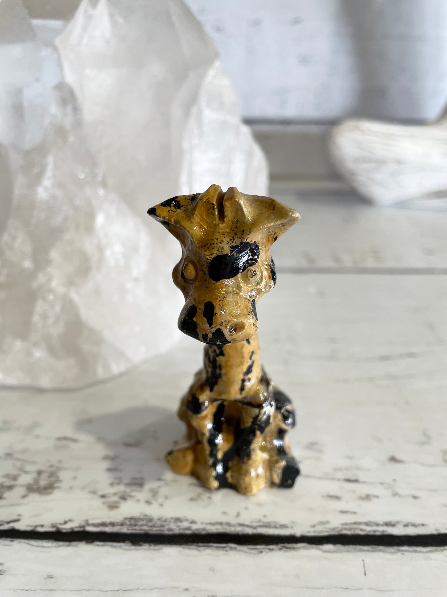 Picture Jasper Giraffe ~ 19