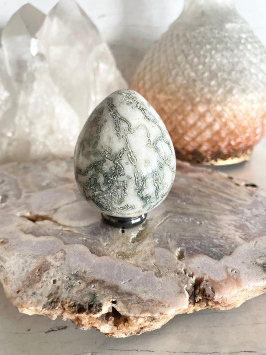 Tree Agate Egg includes holder