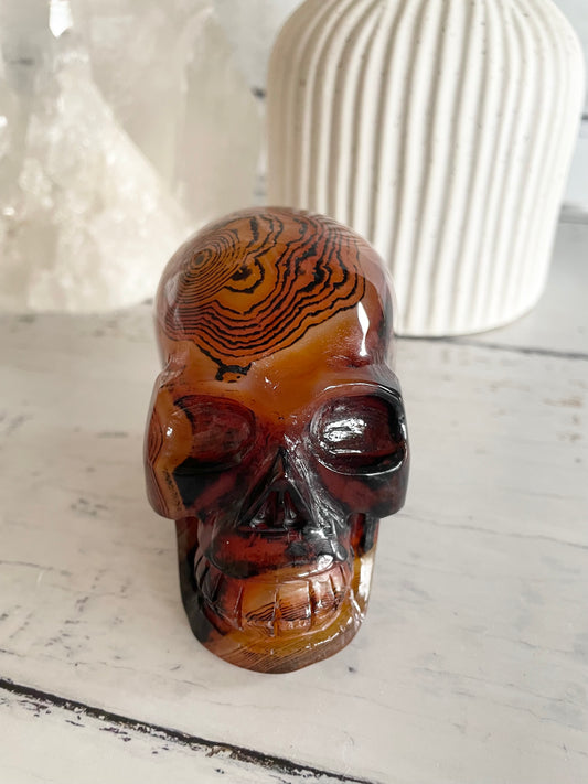 Sardonyx Skull