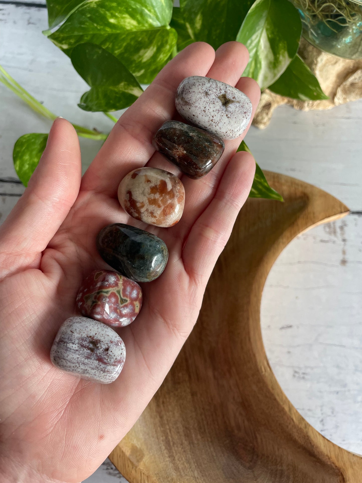 Ocean Jasper Tumble Stones