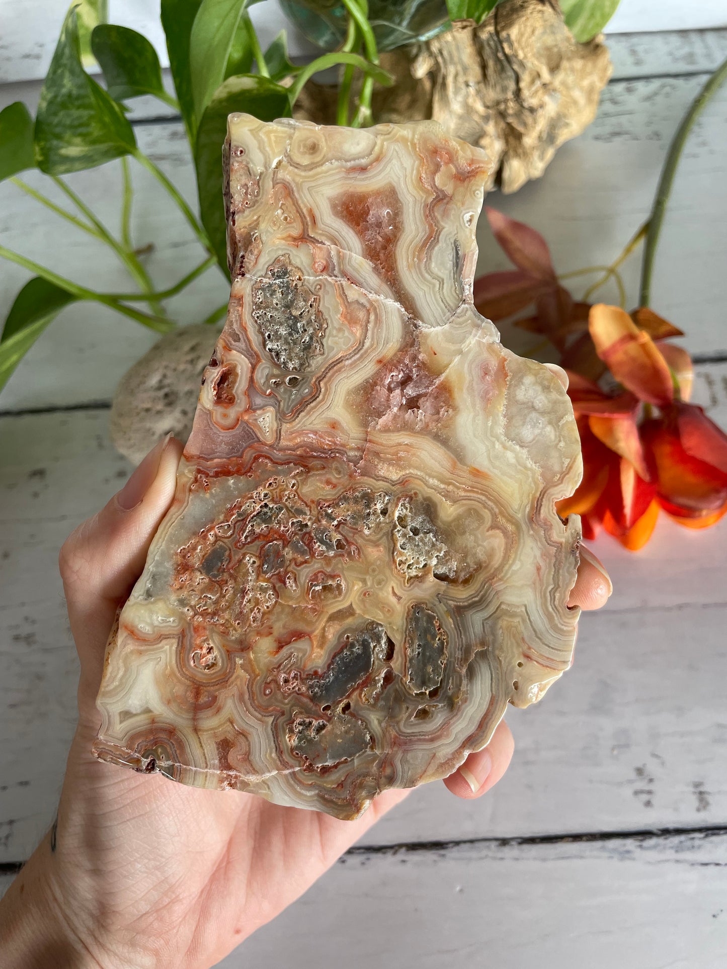 Crazy Lace Agate Polished Slab