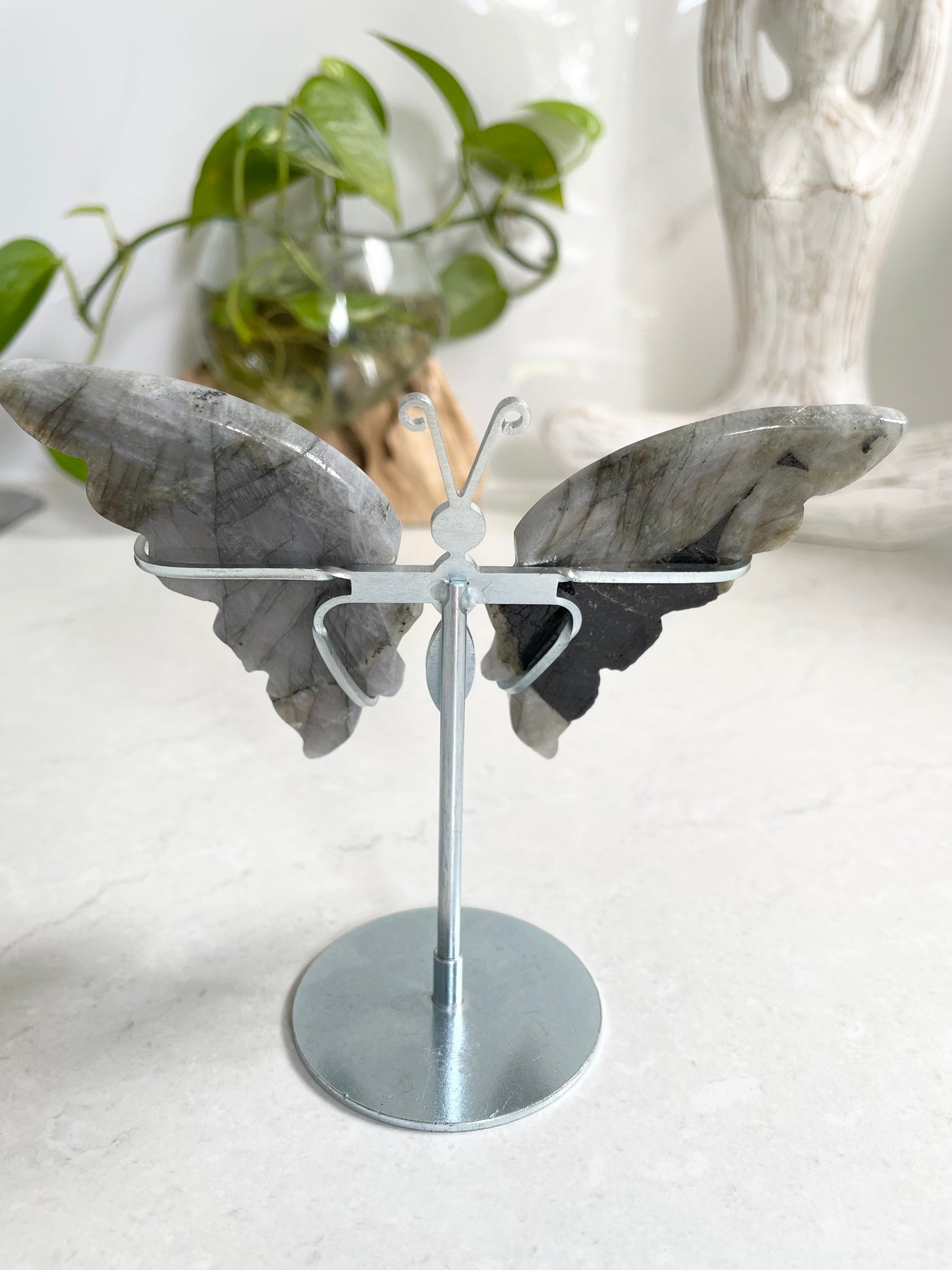 Butterfly ~ Labradorite