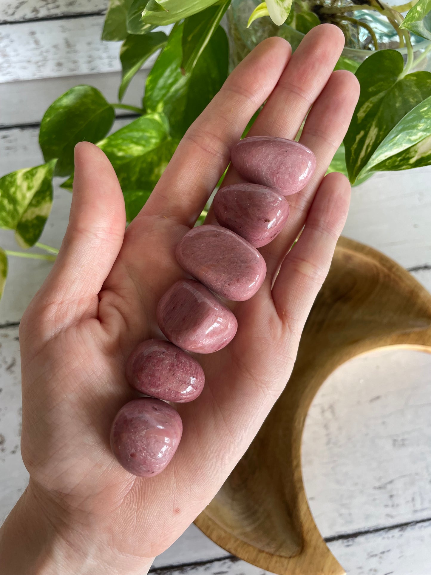 Pink Petrified Wood Tumble Stones