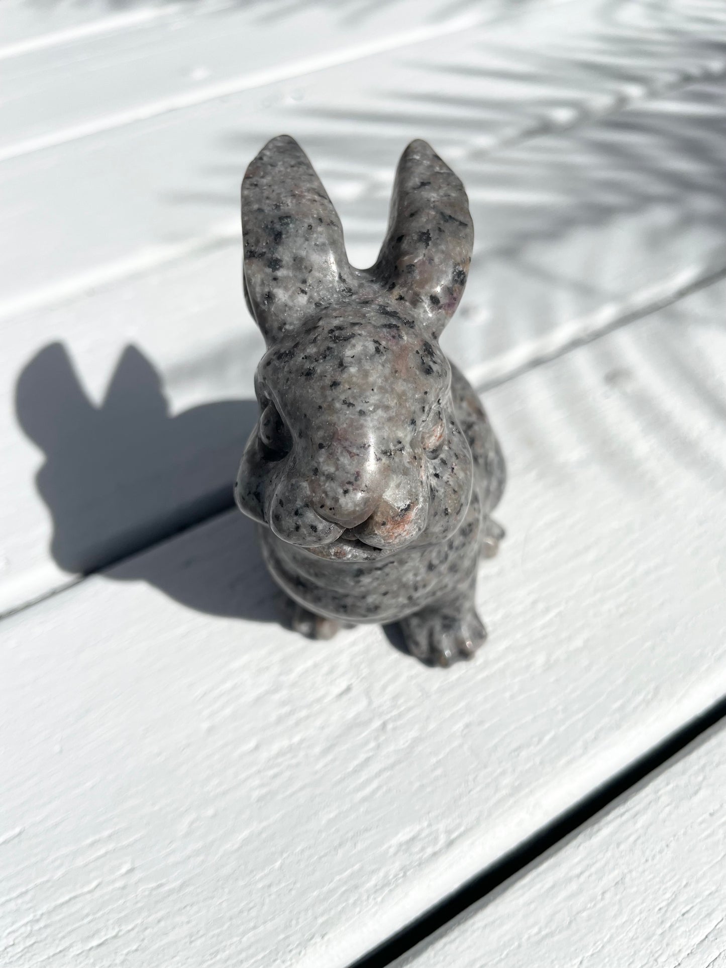 Larvakite Bunny