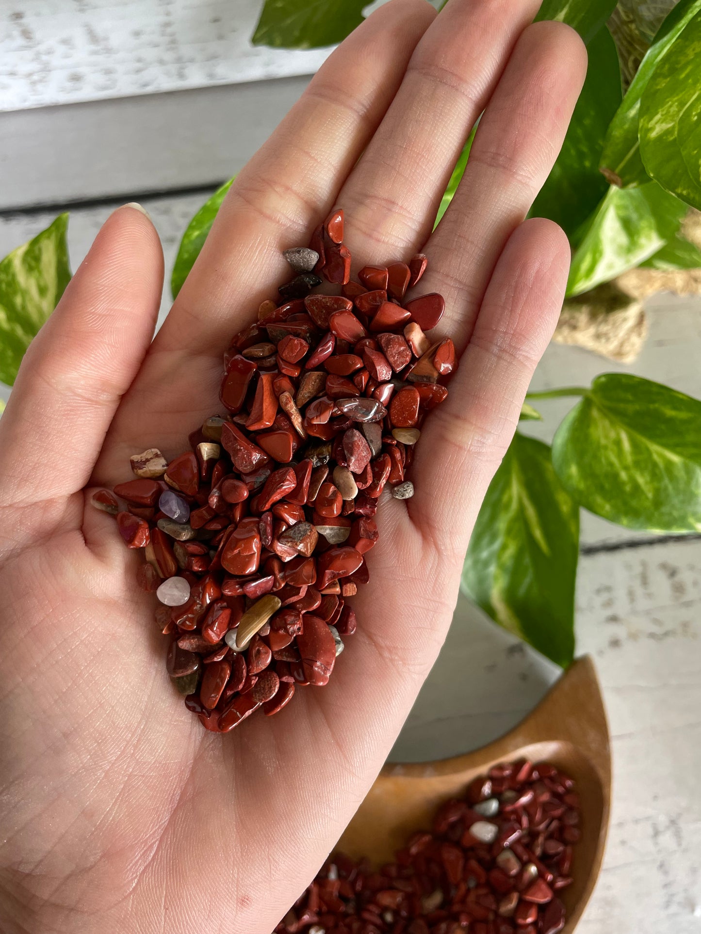 Crystal Chips ~ Red Jasper 100g pouch