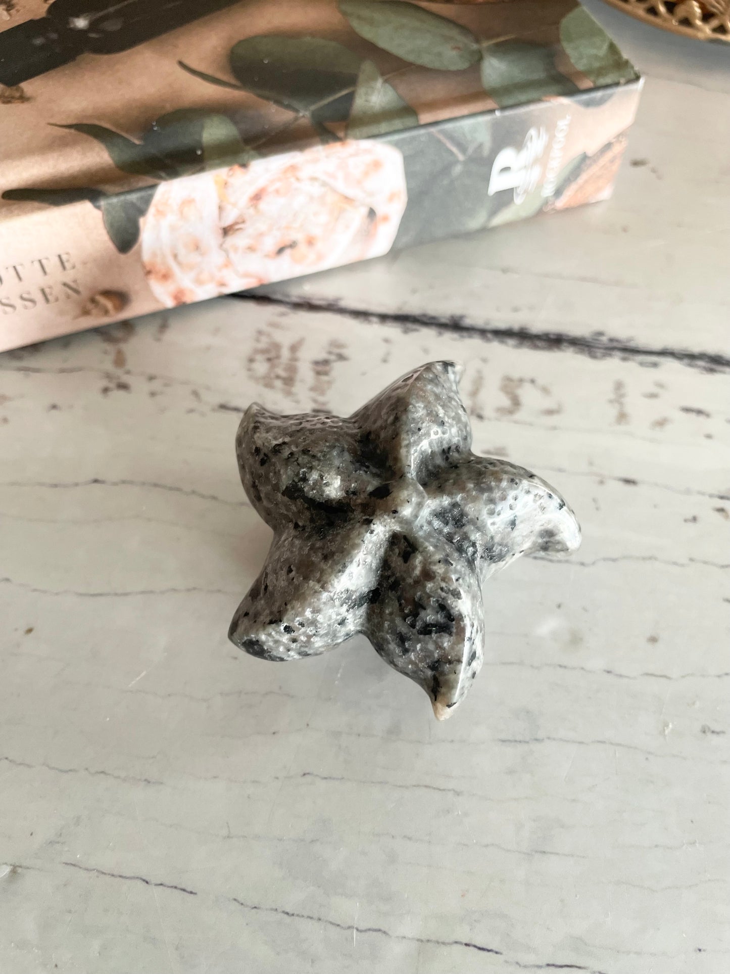 Sea Star ~ Mixed Moonstone